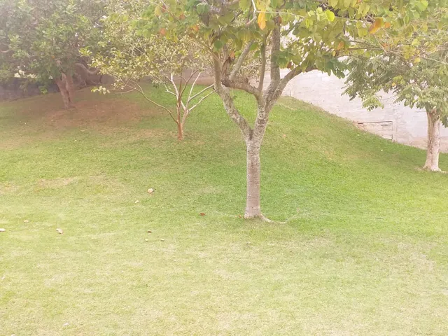 Imagem 9: CASA - SAQUAREMA