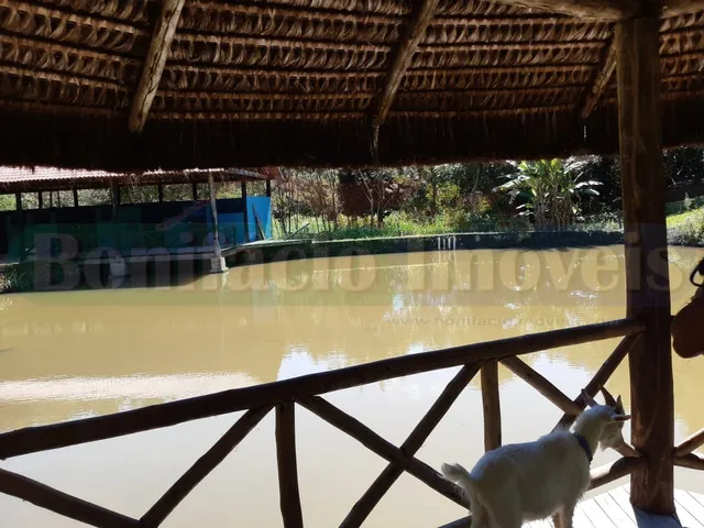 Imagem 10: SITIO - CACHOEIRAS DE MACACU