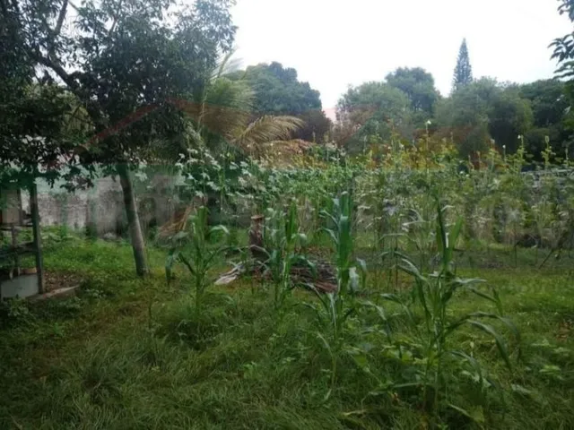 Imagem 7: SITIO - ITABORAÍ