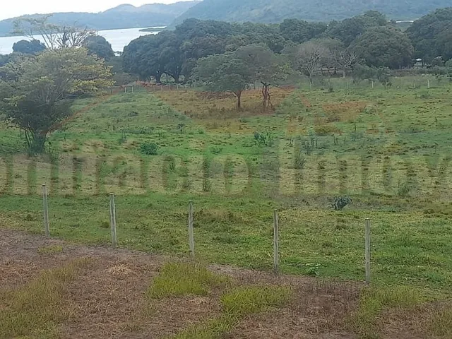 Imagem: FAZENDA - SAQUAREMA