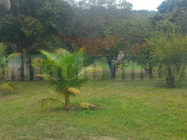 Imagem 4: FAZENDA - SAQUAREMA