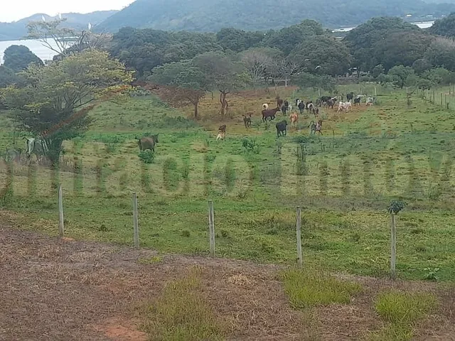 Imagem 12: FAZENDA - SAQUAREMA