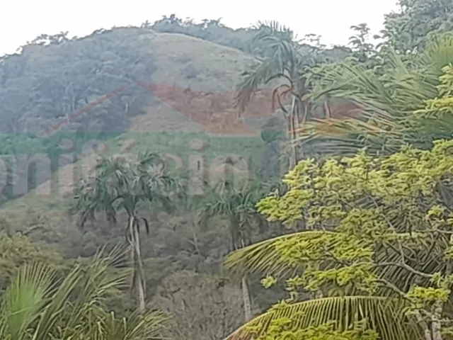 Imagem 11: FAZENDA - SAQUAREMA