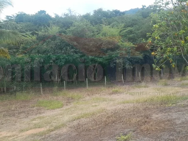 Imagem 5: FAZENDA - SAQUAREMA