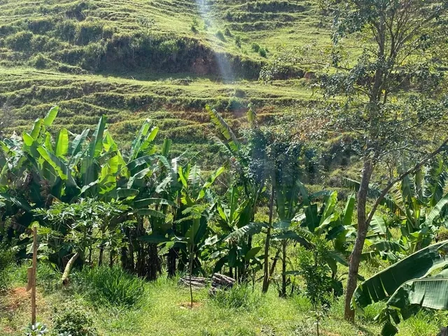 Imagem 2: CHACARA - VALENÇA