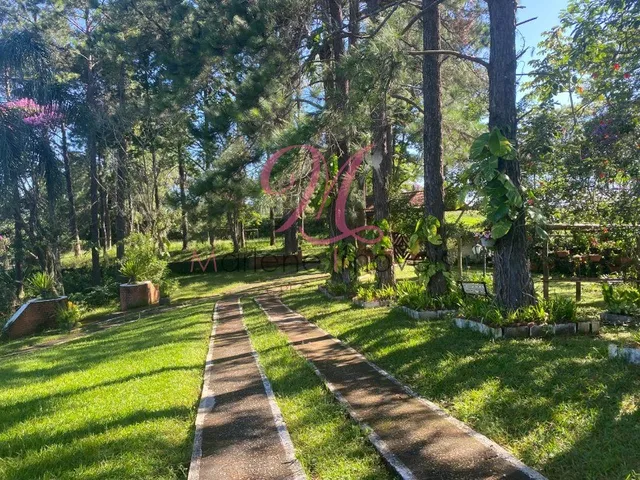 Imagem: Oportunidade Única Chácara À Venda em