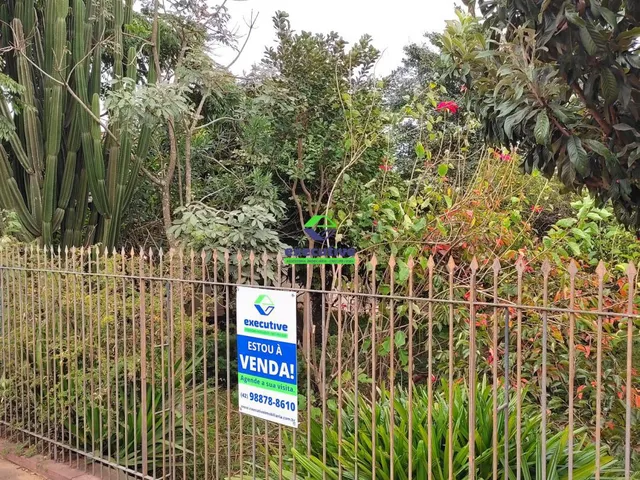 Imagem 3: Residência ampla em Uvaranas