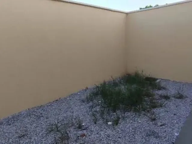 Imagem 3: Casa em Pitangueiras (Venda Imediata)!!!!
