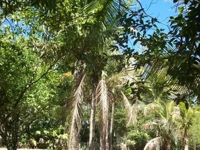 Imagem: Chacara Teodora. Retiro do Congo