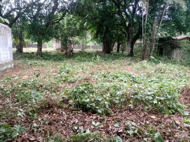 Imagem: Sítio Terreno no Km 12 do Tauá