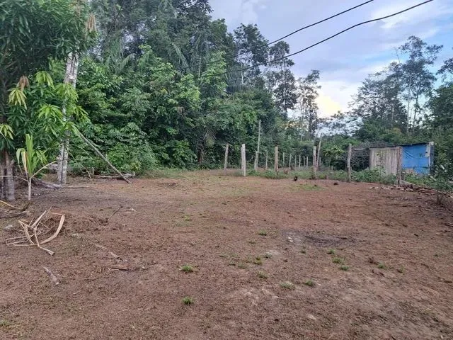 Imagem 1: Sítio no Rio Preto da Eva Km 105 Ramal Zf9 Comunidade Cachoeira do Rio Urubu