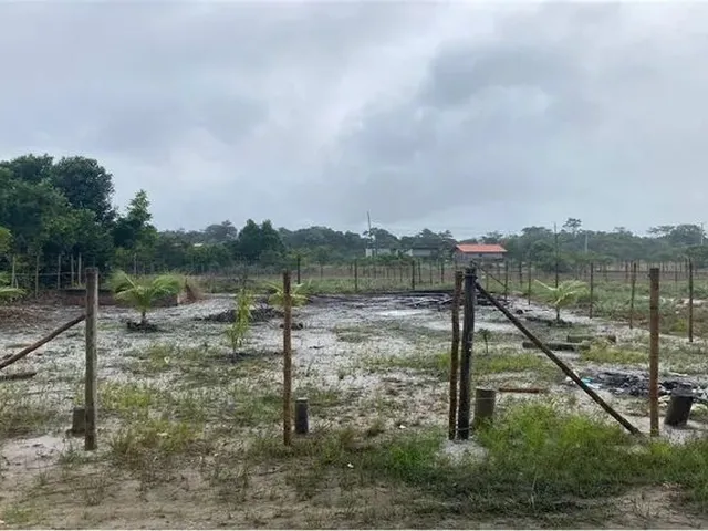 Imagem: Está Procurando Um Lugar para Construir