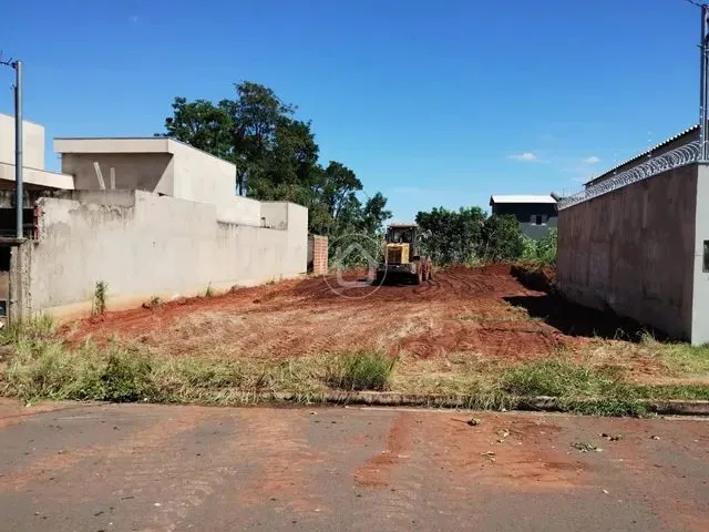 Imagem: Plano, Limpo com Caída pra Frente