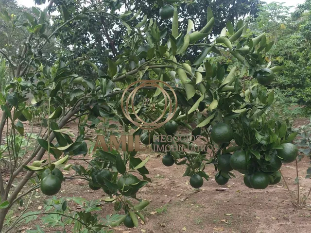 Imagem 2: RA AMI VENDE Chácara Vila Velha, 4 dormitórios, 2 Piscinas, Escritura, 2800m²