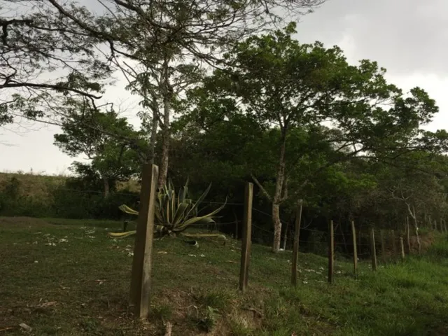 Imagem 3: Área / 382.000m² / Frente para Rodovia Dom Pedro I / Jacareí / 3km da Dutra