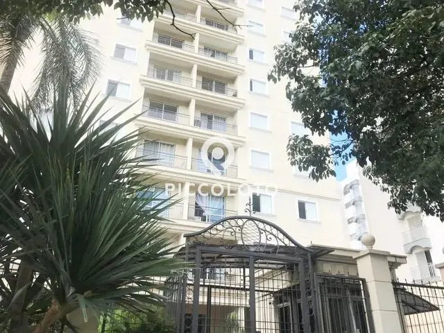 Imagem: Apartamento - Jardim das Paineiras - Campinas