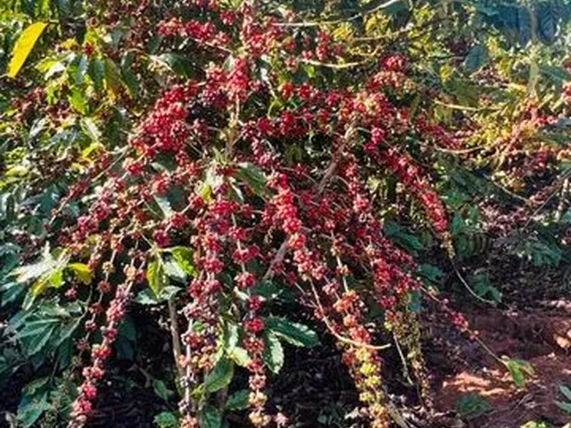 Imagem: Terreno a Venda