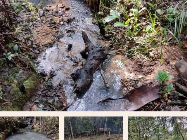 Imagem: Vende Se Chácara Direto com o Proprietário