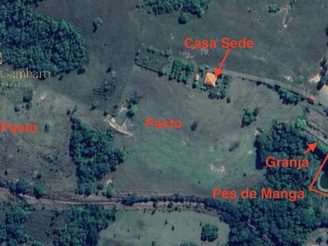 Imagem: Sítio Produtivo com Excelente Casa Sede