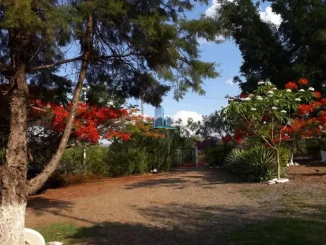 Imagem 9: Sítio à venda em Caetanópolis-MG: 5 quartos, 1 suíte, 53.880m² de área, 9 vagas de