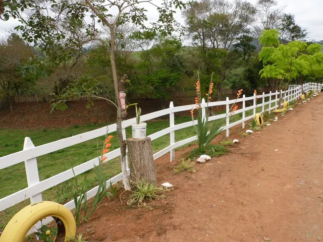 Imagem 13: SÍTIO RURAL em PARAISÓPOLIS - MG, CENTRO