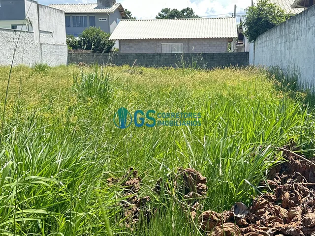 Imagem 6: Terreno pronto para construir na Praia da Pinheira