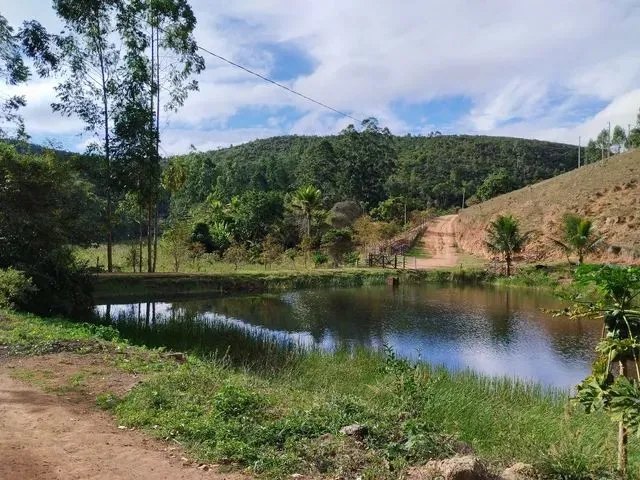 Imagem: Linda Fazenda de Eucalipto Próximo a Caraí