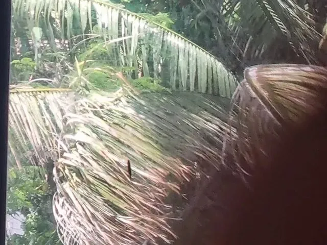 Imagem 5: Vendo 5 Salas Comerciais