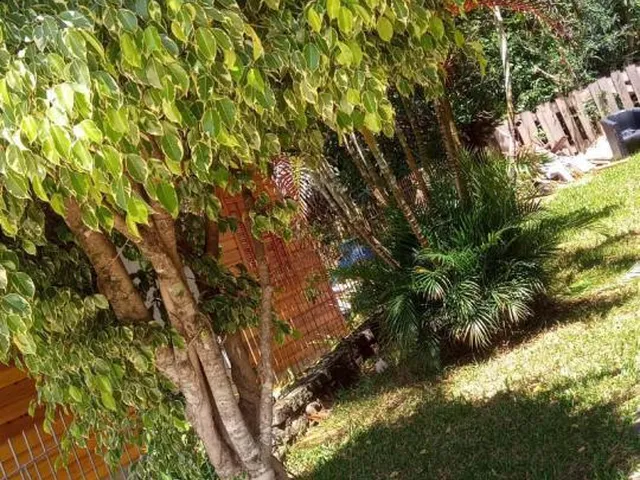 Imagem 4: Terreno, 452M² de Área Total