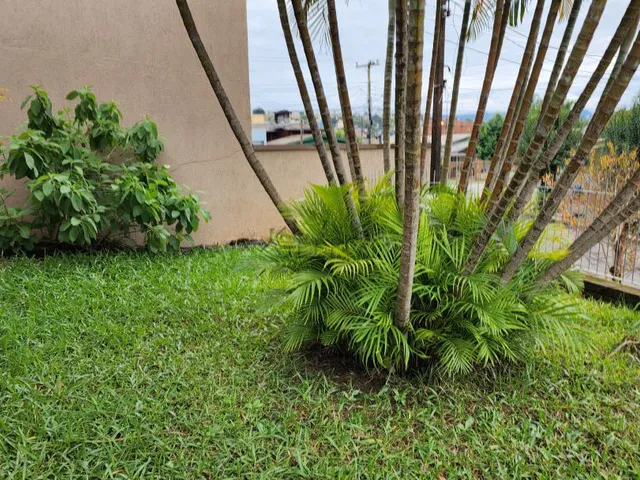 Imagem 5: Terreno, 452M² de Área Total