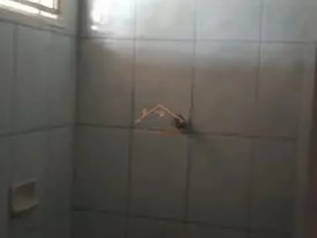 Imagem 10: Kitnet Já Mobiliada de 1 Quartos Sala, Cozinha Área de Serviço em Lote Plano, 1 Vaga