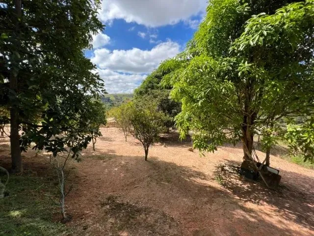 Imagem 10: Chácara com Área de 5.000 M² a 100M do Asfalto com Pomar em Produção em Itatiaiuçu