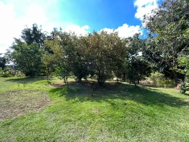 Imagem 5: Chácara com Área de 5.000 M² a 100M do Asfalto com Pomar em Produção em Itatiaiuçu