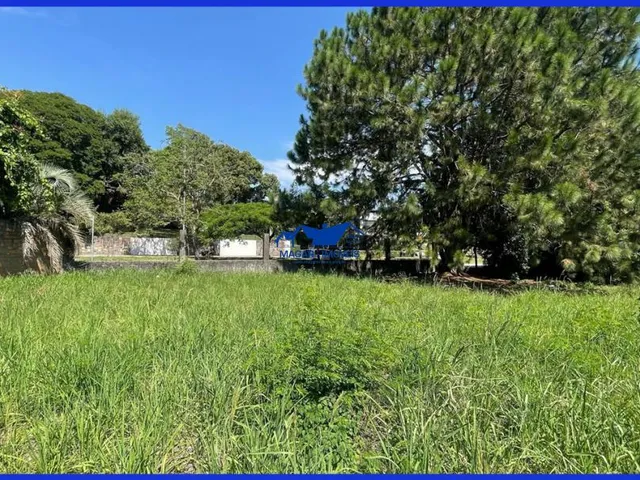 Imagem 10: Excelente terreno plano com 947,76m² na Avenida Brasil no centro de Estância Velha/RS