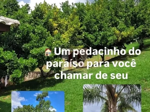 Imagem 10: SITIO RURAL em MOEDA - MG, Centro