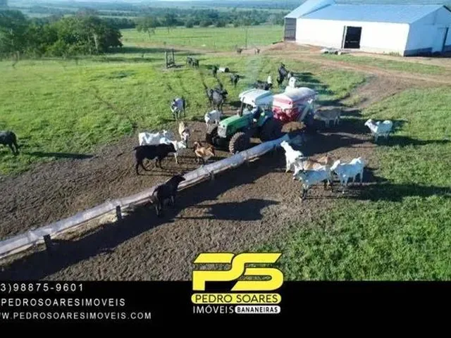 Imagem: Fazenda À Venda, 23000 Hec² por R$ 120.000,00