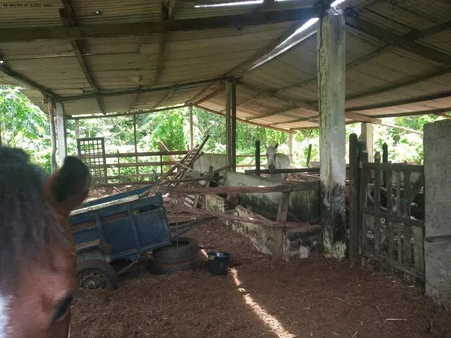 Imagem 5: Terreno Rural para Venda em Igarassu / PE no bairro Monjope