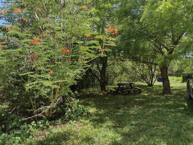 Imagem 8: Sítio para Venda em Igarassu / Pe no Bairro Monjope