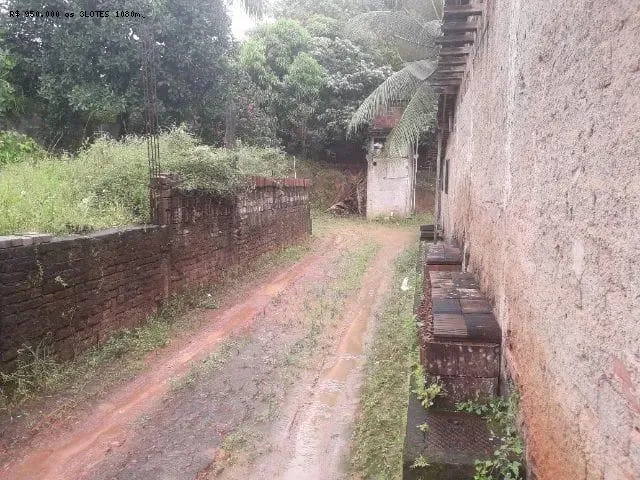 Imagem 4: Terreno para Venda em Paulista / Pe no Bairro Centro