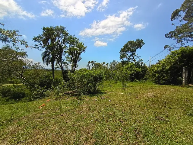 Imagem 4: Venda - Áreas de Terra - - - Sc