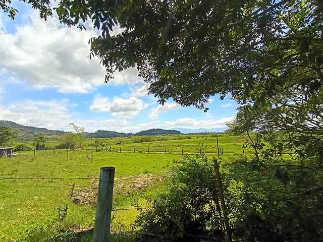 Imagem 6: Venda - Áreas de Terra - - - Sc