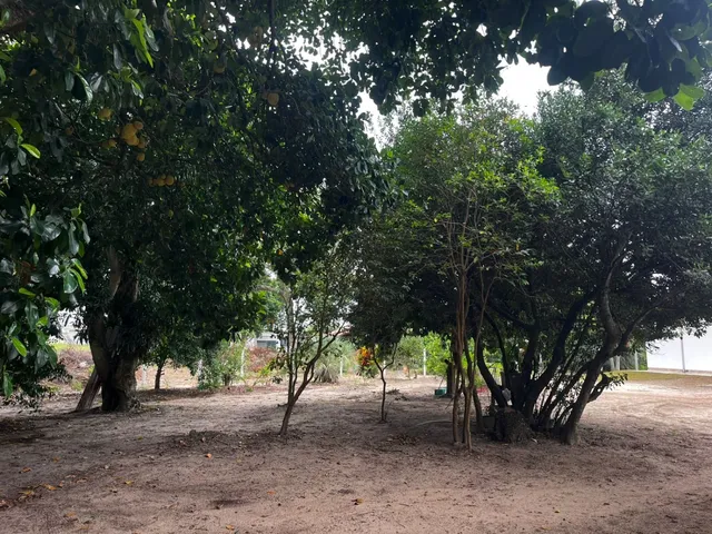 Imagem 9: Venda - Sítios - 3 Dormitórios - - Laguna - Sc