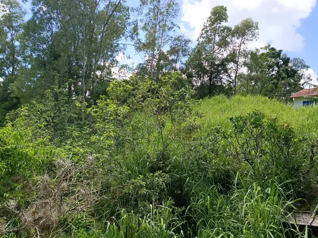 Imagem 3: Venda - Sítios - - Laguna - Sc