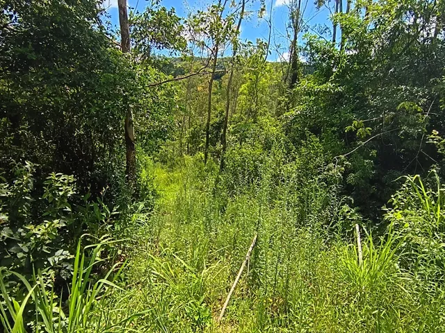 Imagem 4: Venda - Sítios - - Laguna - Sc