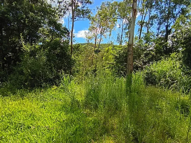 Imagem 5: Venda - Sítios - - Laguna - Sc