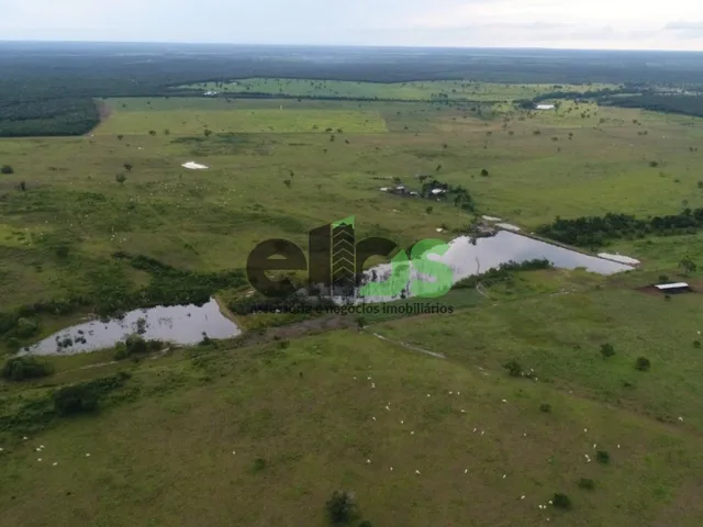 Imagem 3: Fazenda Dupla Aptidão C/ Excelente Logística de Escoamento, 02 Córregos, 276 Alqueires