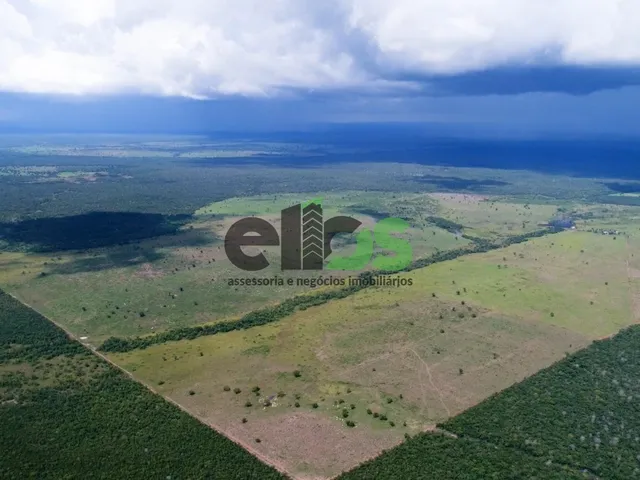Imagem 1: Fazenda Dupla Aptidão C/ Excelente Logística de Escoamento, 02 Córregos, 276 Alqueires