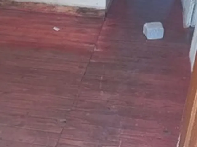 Imagem 2: Aluguel de Casa Casa com 2 dormitórios