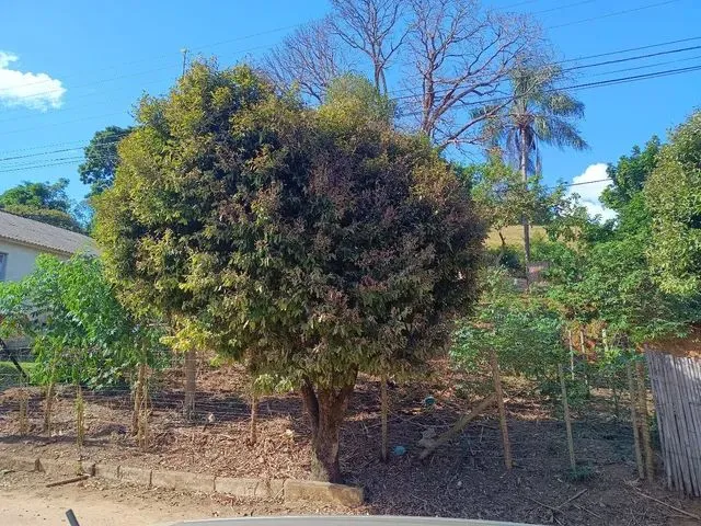 Imagem: O terreno possui 450m² de Área e está localizado em