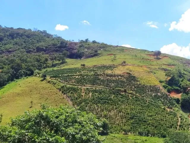 Imagem: Terra em Afonso Cláudio